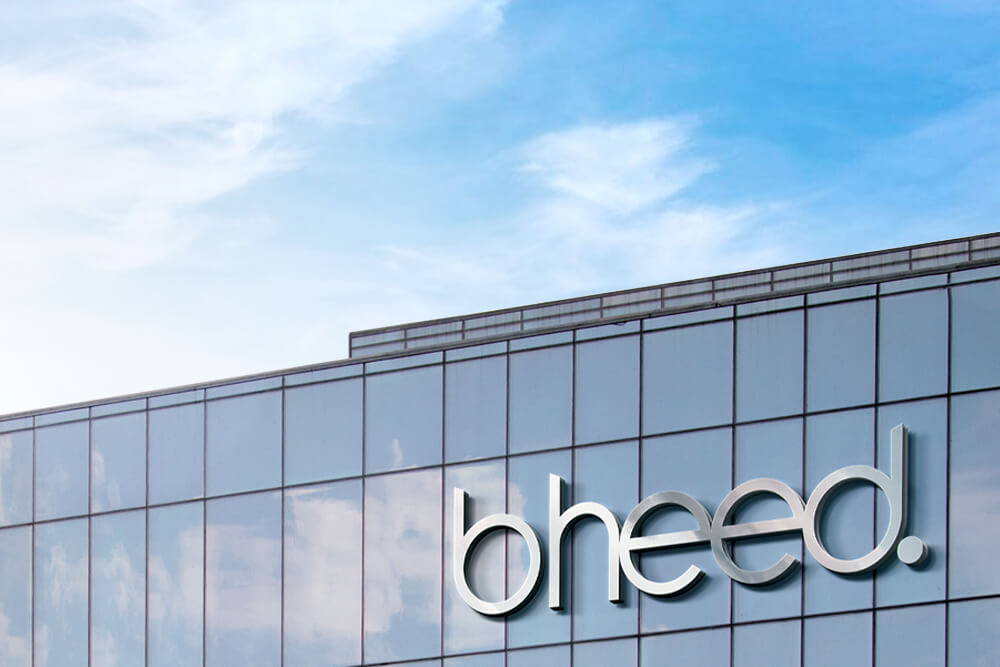 Somos bheed imagen 2